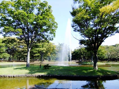 代々木公園