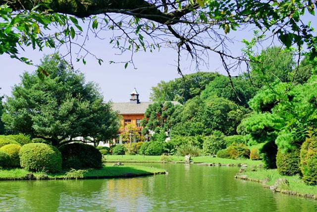 小石川植物園