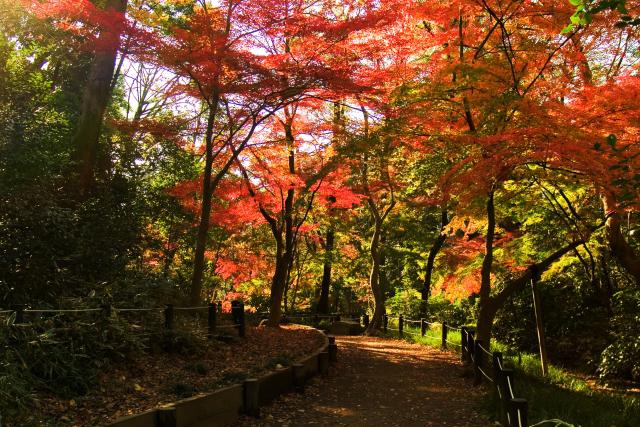 有栖川宮記念公園