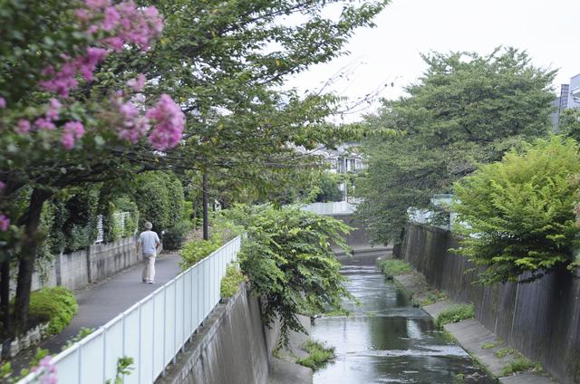 浜田山