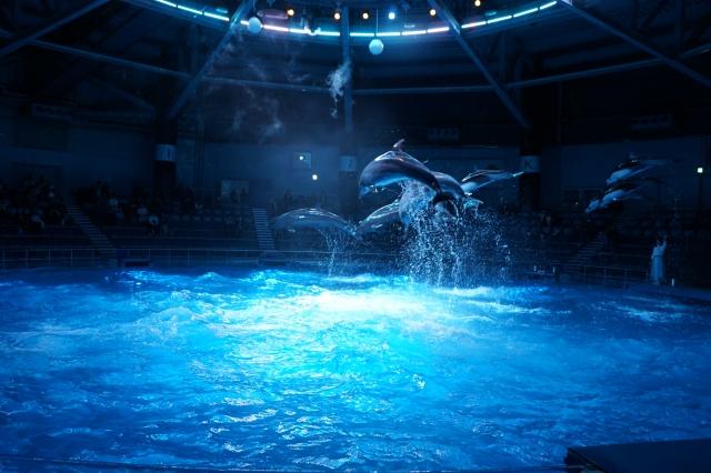 水族館