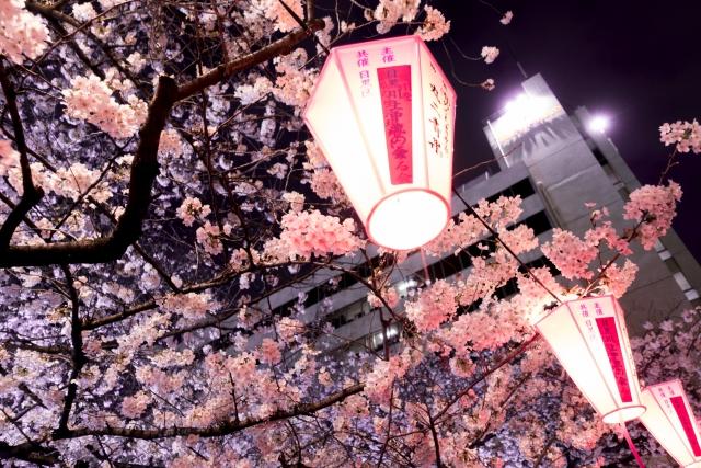 桜