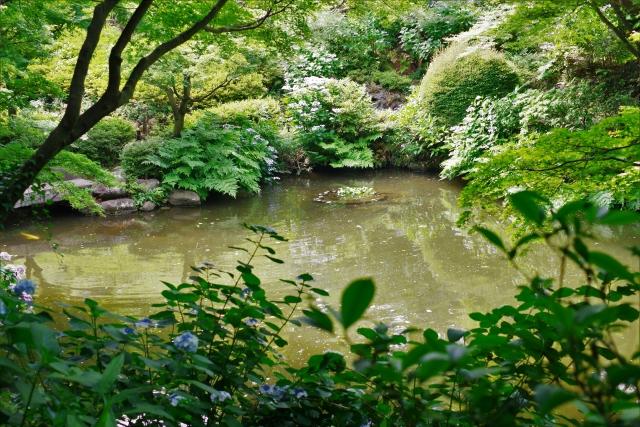 池田山