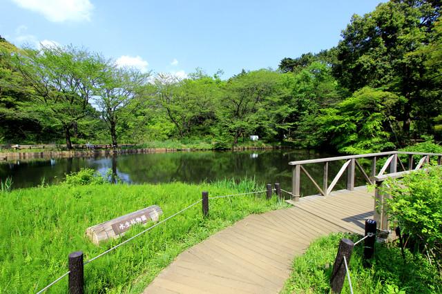 国立科学博物館附属自然教育園