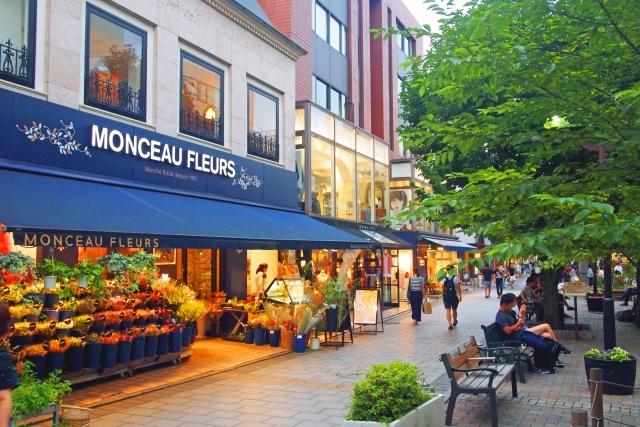 【直接お渡し希望 東京都 田園調布駅・自由が丘駅】20インチ 6段変速 カゴ付き 直接お渡し希望 東京都 田園調布駅・自由が丘駅】20インチ 6段変速