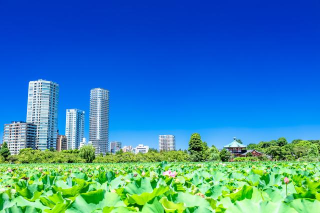 上野公園