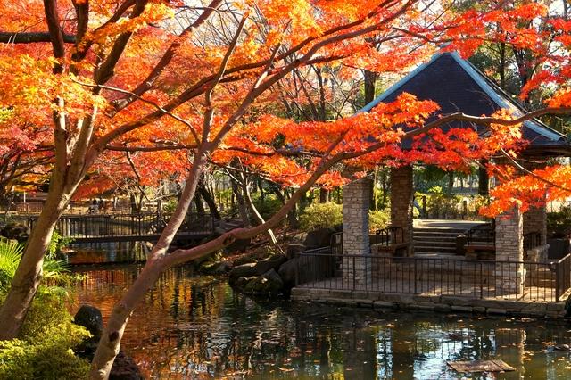 馬橋公園