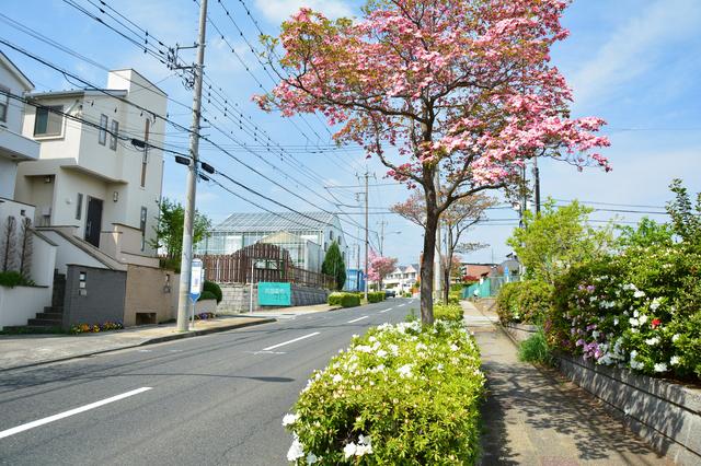 あざみ野