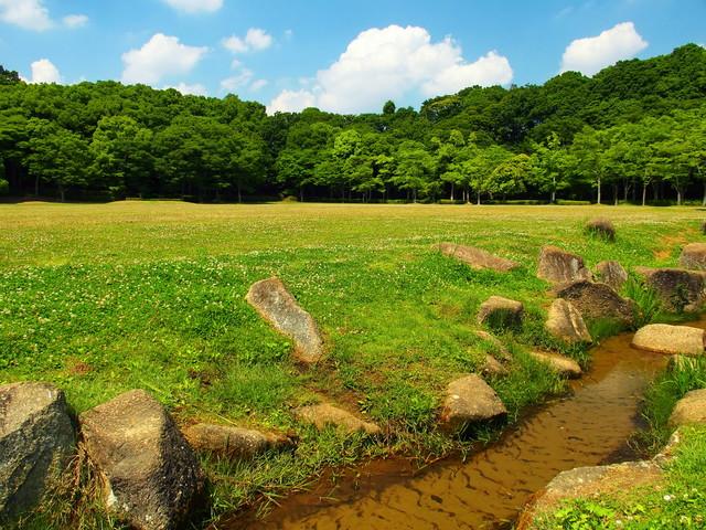松戸市